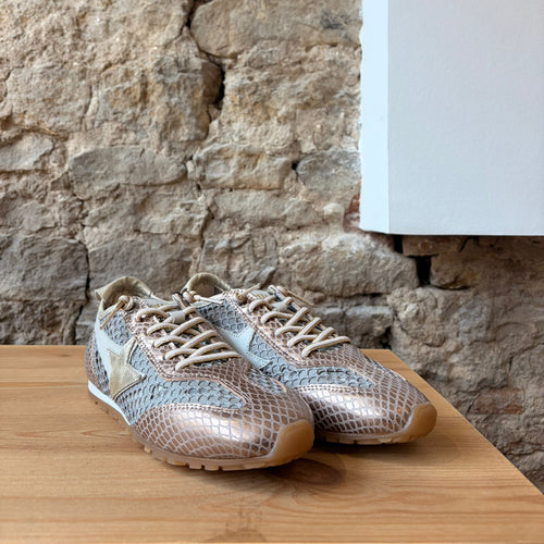 Basket Cetti Bronze et Gris
